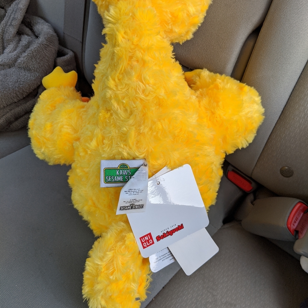 Big Bird x Kaws